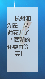 杭州湘湖第一朵荷花开了！西湖的还要再等等