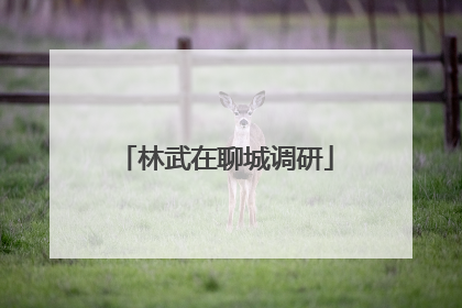 林武在聊城调研