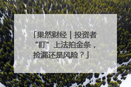果然财经｜投资者“盯”上法拍金条，捡漏还是风险？