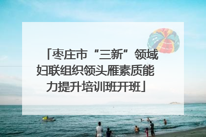 枣庄市“三新”领域妇联组织领头雁素质能力提升培训班开班