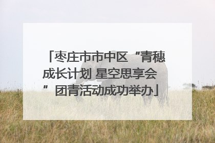 枣庄市市中区“青穗成长计划 星空思享会”团青活动成功举办