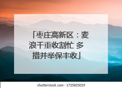 枣庄高新区：麦浪千重收割忙 多措并举保丰收
