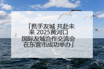 携手友城 共赴未来 2025黄河口国际友城合作交流会在东营市成功举办