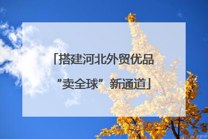 搭建河北外贸优品“卖全球”新通道