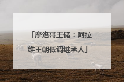 摩洛哥王储：阿拉维王朝低调继承人