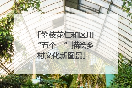 攀枝花仁和区用“五个一”描绘乡村文化新图景