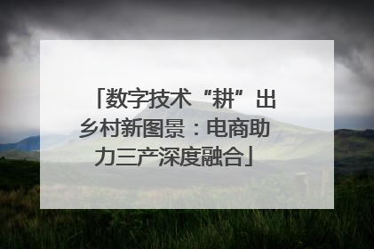 数字技术“耕”出乡村新图景：电商助力三产深度融合