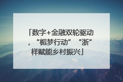 数字+金融双轮驱动，“栀梦行动”“浙”样赋能乡村振兴