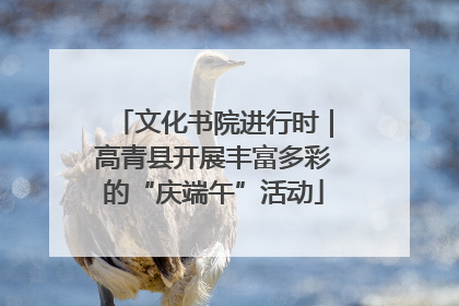 文化书院进行时｜高青县开展丰富多彩的“庆端午”活动