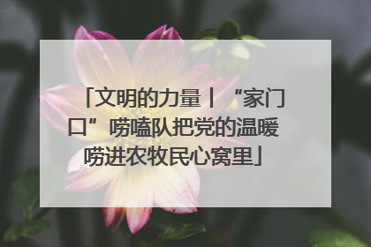 文明的力量丨“家门口”唠嗑队把党的温暖唠进农牧民心窝里
