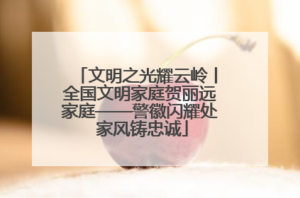 文明之光耀云岭丨全国文明家庭贺丽远家庭——警徽闪耀处 家风铸忠诚