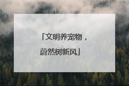 文明养宠物，蔚然树新风