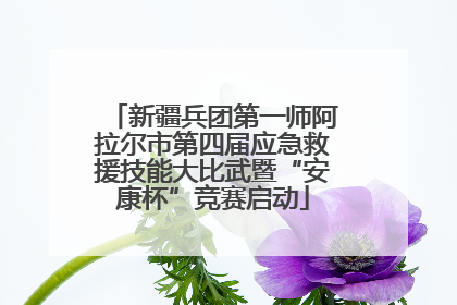 新疆兵团第一师阿拉尔市第四届应急救援技能大比武暨“安康杯”竞赛启动