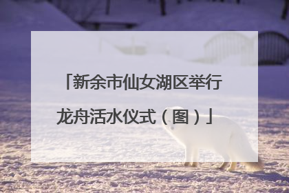 新余市仙女湖区举行龙舟活水仪式（图）