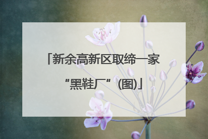 新余高新区取缔一家“黑鞋厂”(图)