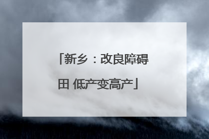 新乡：改良障碍田 低产变高产