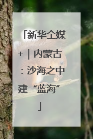 新华全媒+｜内蒙古：沙海之中建“蓝海”