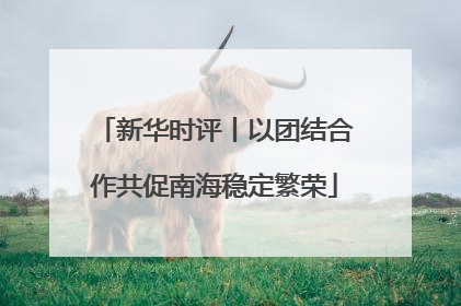 新华时评丨以团结合作共促南海稳定繁荣