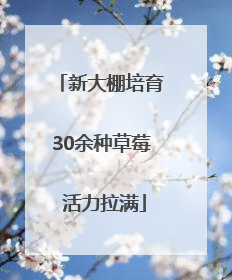 新大棚培育30余种草莓 活力拉满
