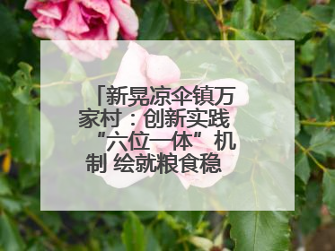 新晃凉伞镇万家村：创新实践“六位一体”机制 绘就粮食稳产增收新图景