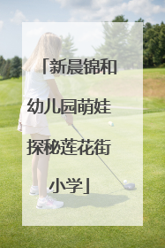 新晨锦和幼儿园萌娃探秘莲花街小学