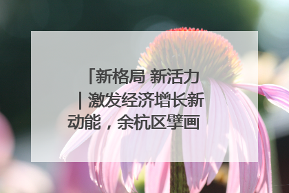 新格局 新活力｜激发经济增长新动能，余杭区擘画消费市场新布局