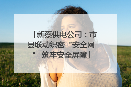 新蔡供电公司：市县联动织密“安全网” 筑牢安全屏障