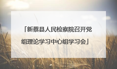 新蔡县人民检察院召开党组理论学习中心组学习会