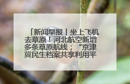 新闻早报丨坐上飞机去草原！河北航空新增多条草原航线；“京津冀民生档案共享利用平台”上线试运行>>