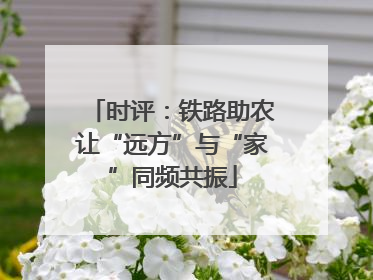 时评：铁路助农让“远方”与“家”同频共振