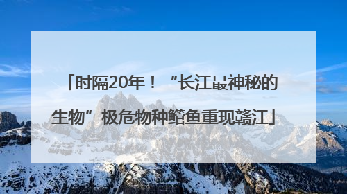 时隔20年！“长江最神秘的生物”极危物种鳤鱼重现赣江