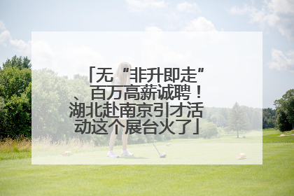 无“非升即走”、百万高薪诚聘！湖北赴南京引才活动这个展台火了