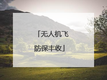 无人机飞防保丰收