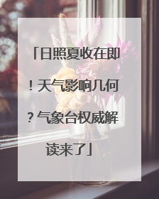 日照夏收在即！天气影响几何？气象台权威解读来了