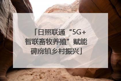 日照联通“5G+智联畜牧养殖”赋能碑廓镇乡村振兴