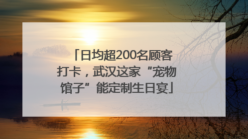 日均超200名顾客打卡，武汉这家“宠物馆子”能定制生日宴