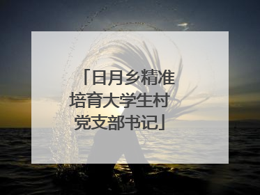 日月乡精准培育大学生村党支部书记