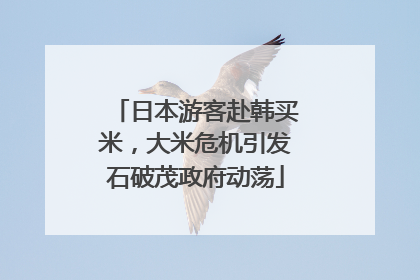 日本游客赴韩买米，大米危机引发石破茂政府动荡