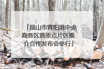 昆山市青阳港中央商务区暨重点片区推介合作发布会举行
