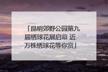 昆明郊野公园第九届绣球花展启幕 近万株绣球花等你赏