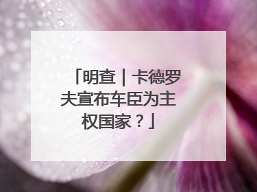 明查｜卡德罗夫宣布车臣为主权国家？