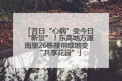 昔日“心病”变今日“新景”！东高地万源南里26栋楼前绿地变“共享花园”