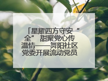 星耀四方守安“全” 甜聚党心传温情——舞阳社区党委开展流动党员建党节主题活动
