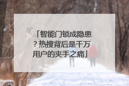 智能门锁成隐患？热搜背后是千万用户的夹手之痛