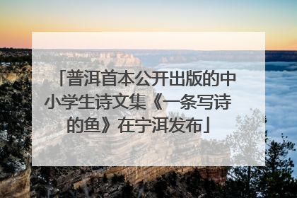 普洱首本公开出版的中小学生诗文集《一条写诗的鱼》在宁洱发布