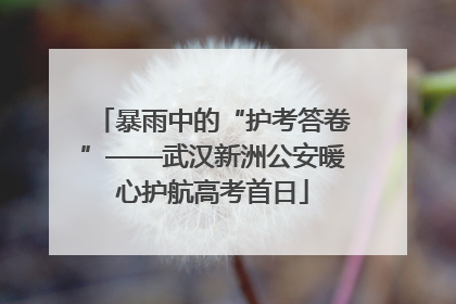 暴雨中的“护考答卷”——武汉新洲公安暖心护航高考首日