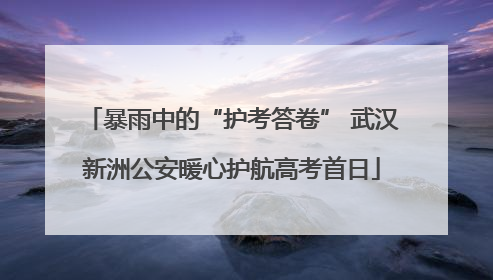 暴雨中的“护考答卷” 武汉新洲公安暖心护航高考首日