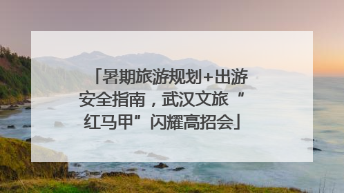暑期旅游规划+出游安全指南，武汉文旅“红马甲”闪耀高招会