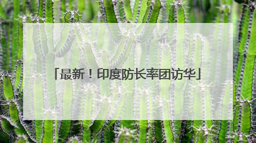 最新！印度防长率团访华
