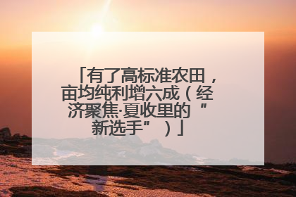 有了高标准农田，亩均纯利增六成（经济聚焦·夏收里的“新选手”）